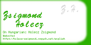 zsigmond holecz business card